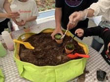 강화군, 가을의 낭만이 솔솔…화개정원으로 놀러 오세요!