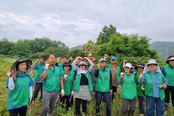 양사면 새마을지도자․부녀회, 생태계 교란종 제거 노력