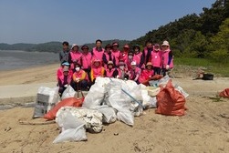 서도면 지역사회보장협의체, 환경정화 활동 실시