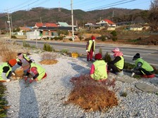 양도면 지역사회보장협의체, 환경정화 활동 실시