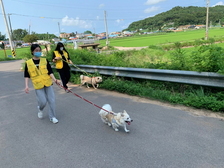 강화군자원봉사센터 청소년 봉사동아리, 유기견 보호소 봉사활동 진행