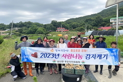 삼산면 주민자치위원회, 사랑 나눔 감자 캐기 행사 