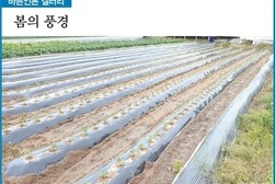 [바른언론 갤러리] 봄의 풍경