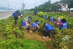  양도면 바르게살기위원회,  건평리 해안도로 가로화단 제초작업 실시 