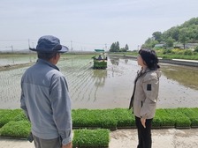 양사면, 한해 걱정 끝! 모내기 순조로이 시작