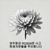 제주항공 7C2216편 사고 희생자분들을 추모합니다.