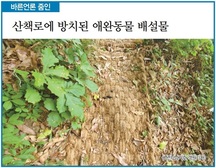 [바른언론 줌인] 산책로에 방치된 애완동물 배설물