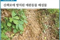 [바른언론 줌인] 산책로에 방치된 애완동물 배설물