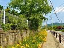 불은면, 라일락 꽃길 조성 