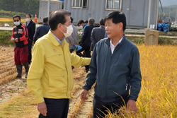 강화군, 쌀값 폭락에 ‘강화섬쌀 팔아주기 운동’ 사활