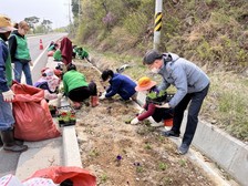 삼산면 새마을부녀회, 석모대교~밤개마을 입구 가로화단 정비