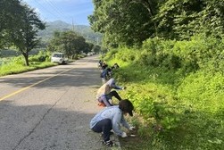  양사면 주민자치위원회, 마을 환경정화 ‘솔선수범’