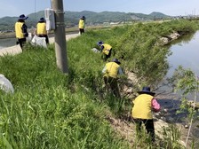 송해면 자원봉사회, 환경을 지키기 위한 봉사활동