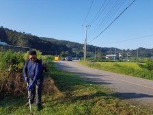 양사면 이장단“내년에 활짝 필 진달래 기대하세요”