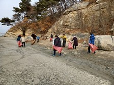 교동면 체육진흥후원회, 해안가 정화활동 실시