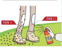 함께 만들어요! 모기 없는 건강한 강화! 