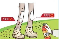 함께 만들어요! 모기 없는 건강한 강화! 