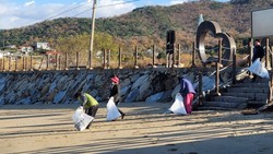 화도면, 장화리 일몰조망지 환경정화