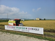 고품질 강화섬쌀 올해 첫 벼 베기