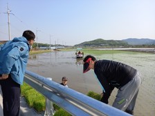 선원면, 최고품질 강화섬쌀을 위한 풍년기원 모내기