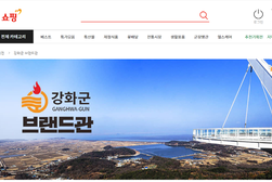 강화 상품 전국화, 우체국 쇼핑몰 브랜드관 개설