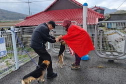 강화군, “광견병 무료 예방접종 받으세요!”