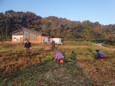 강화군 교동면 동산리 마을회, 가을맞이 나들길 정비 실시
