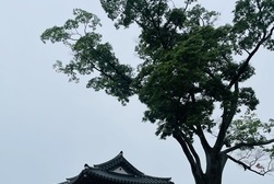 강화군노인복지관, 강화의 이야기를 전할 예비 해설사를 모집합니다!