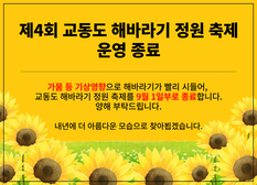 해바라기 꽃 조기 낙화로 1일 종료