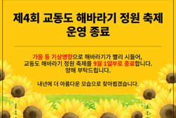 해바라기 꽃 조기 낙화로 1일 종료