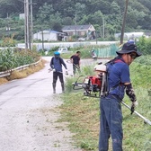교동면, 추석맞이 마을 환경정화 활동 실시 