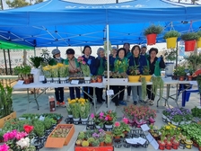 삼산면 새마을부녀회, 새봄맞이 행사