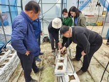 강화섬토마토, ‘찾아가는 컨설팅’으로 현장 기술 지원 