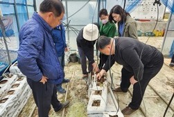 강화섬토마토, ‘찾아가는 컨설팅’으로 현장 기술 지원 