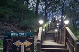 강화군, 석모도 휴양림 산책로 야간 경관조명 조성