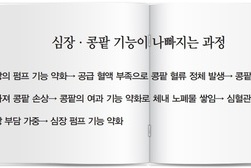 [생활 속 건강보감] 약 잘 먹는데 혈압·혈당 널뛴다? 콩팥 사구체 여과율 살피세요