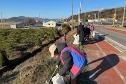 양도면 생활개선회, 인산천 인근 환경정화 작업