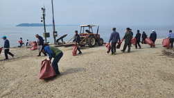 교동면 노인회, 해안 쓰레기 수거로 교동 사랑 실천