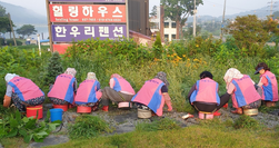 양도면 생활개선회, 인산1리 가로화단 제초 작업