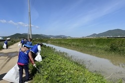 양도면 바르게살기위원회, 인산천 일대 환경정비