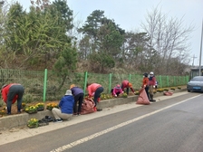 한국자유총연맹 교동면 회원, 교동대교 입구 화단 조성