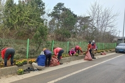 한국자유총연맹 교동면 회원, 교동대교 입구 화단 조성