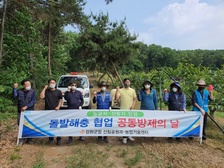 강화군, 외래·돌발해충 발생대비 선제적 방제 ‘총력’