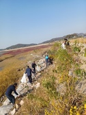 교동면 체육진흥후원회, 해안가 및 나들길 청소 나서