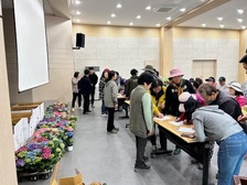 교동면, 내 나무 갖기 캠페인 전개