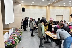 교동면, 내 나무 갖기 캠페인 전개