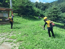 강화군, 2025년 산림사업 48억원 투입