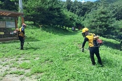 강화군, 2025년 산림사업 48억원 투입