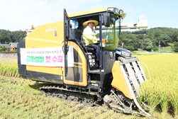 유천호 강화군수, 풍년 기원 첫 벼베기 시연… 