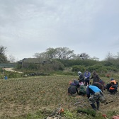 교동면 동산리 마을회, 우리마을 봄꽃 심어 꽃동산 조성